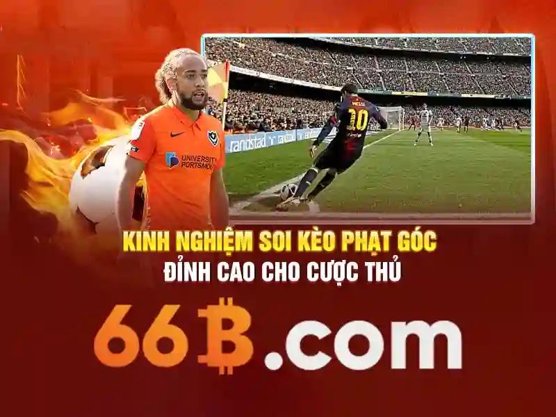 66b: Khái niệm, quy mô và ứng dụng