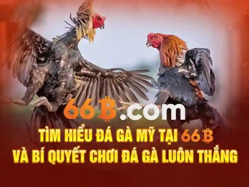 Tải xuống APK 66B cho Android