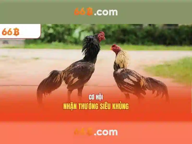 https://shahrodi.com/images/text/66b/66b-text260305377.webp