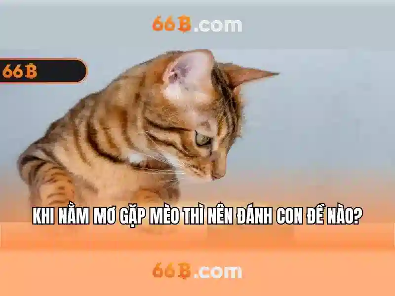 66b: Phân tích và ứng dụng