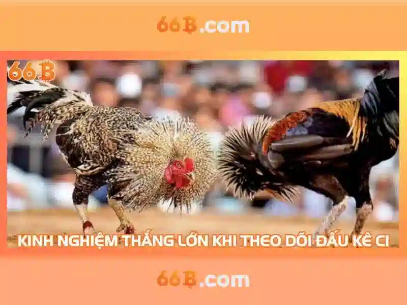 66B: một con số trong thế giới AI
