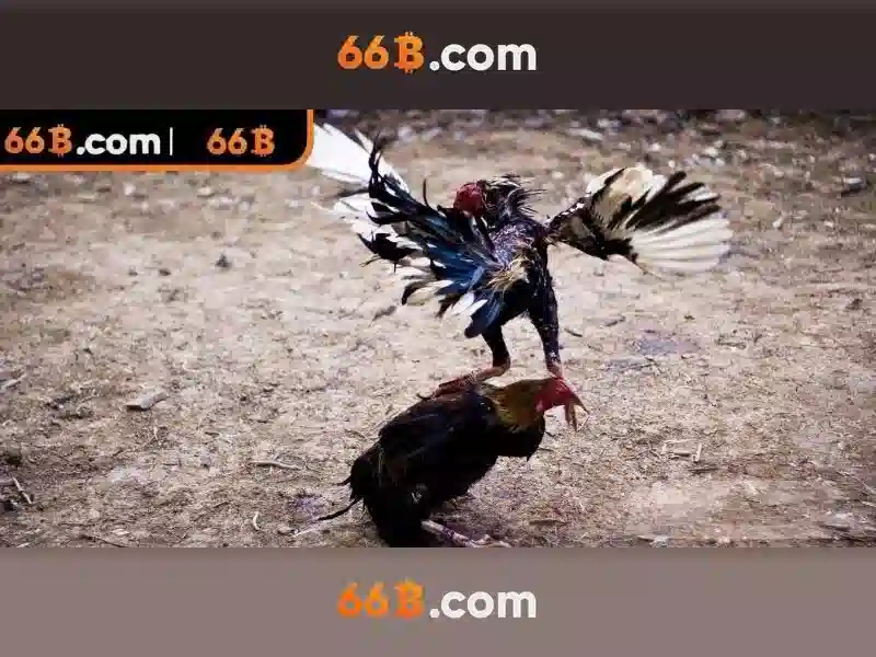 https://shahrodi.com/images/text/66b/66b-text260330172.webp
