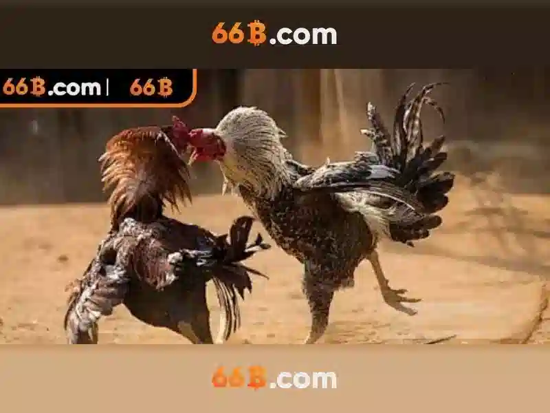 https://shahrodi.com/images/text/66b/66b-text260330198.webp