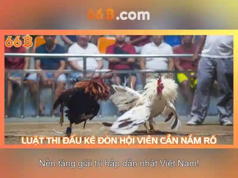 66B: Khai thác sức mạnh của một mô hình ngôn ngữ lớn