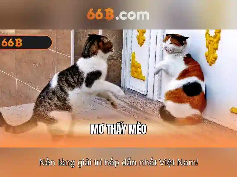 Phap ly bao ve nguoi choi Phap ly bao ve nguoi choi
