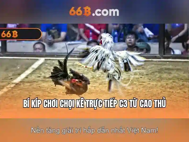 66b là gì: Khái niệm và ứng dụng
