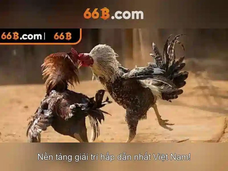 66b và thế giới AI hiện đại
