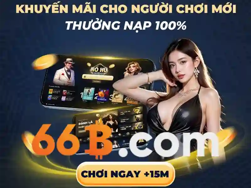 66b: khái niệm, lịch sử và ý nghĩa